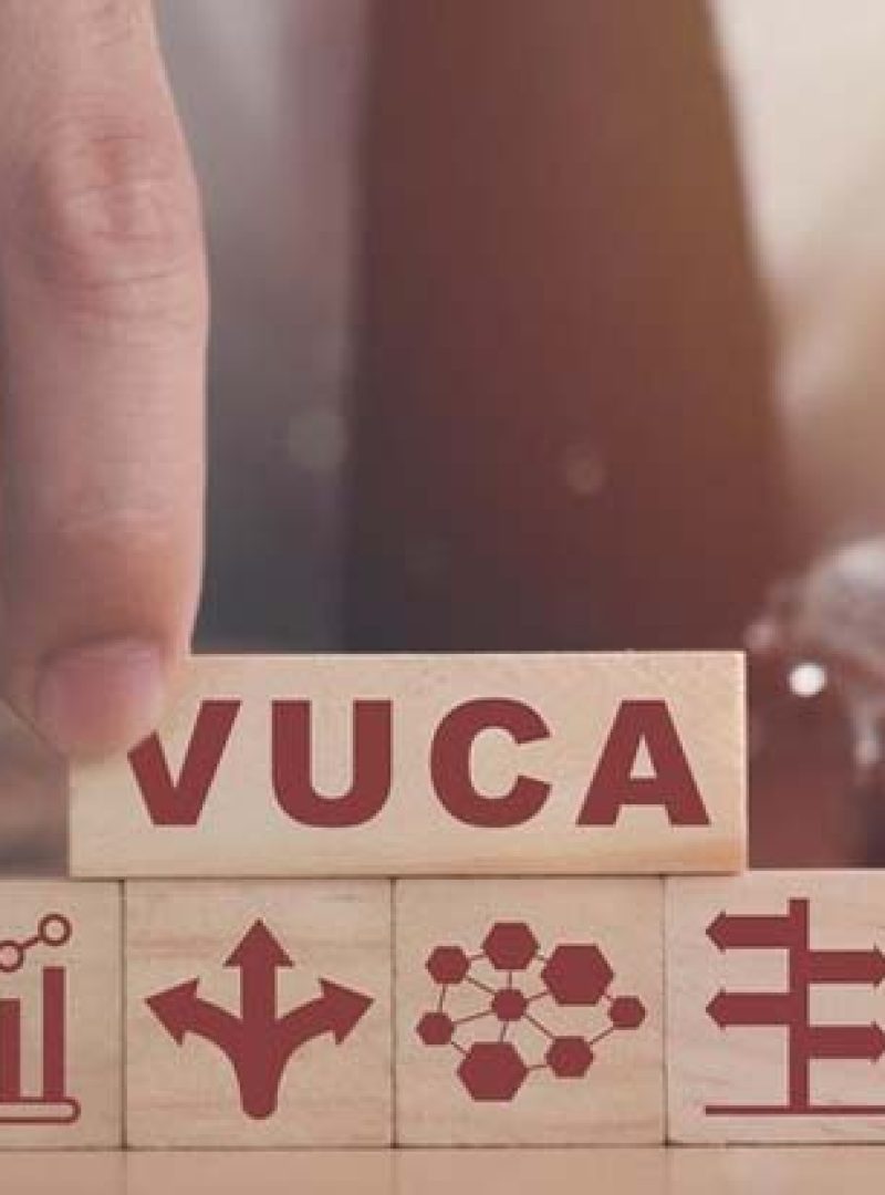 Making Your Business Survive in a VUCA World